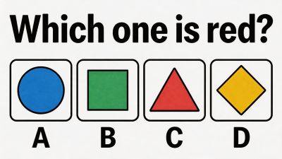 Quiz Illustration